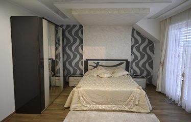 Maison jumelée libre 3 côtés à Oberpallen