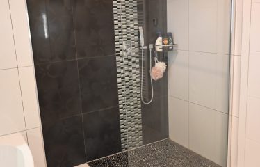 Maison jumelée libre 3 côtés à Oberpallen